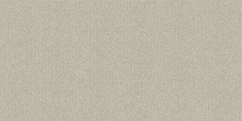314081