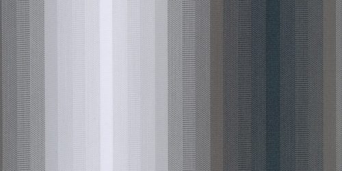 338803