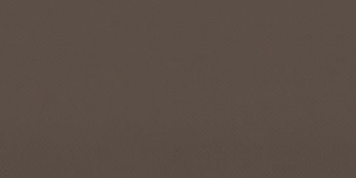 819 TAUPE CHAMPAGNE